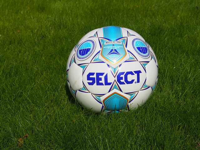 成功夺得亚 成功夺得亚