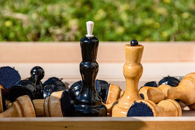 深挖底蕴弘扬冰雪文化.