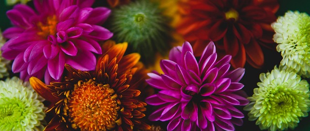 NBA｜送鹈鹕4连败 独行侠蛇年报喜.