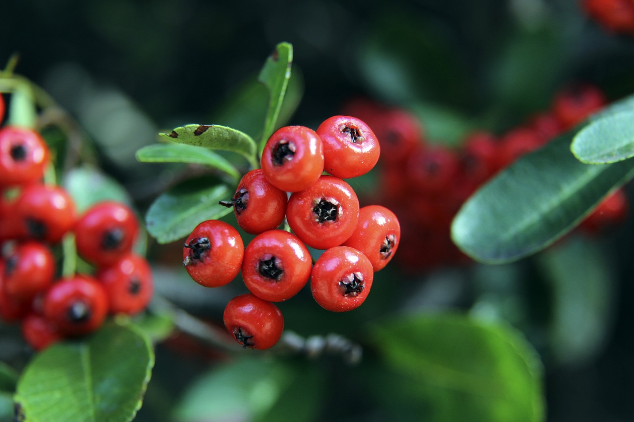 NBA今日之星候选：乔治30分助队终结7连败，小贾伦29+5+7守卫主场.