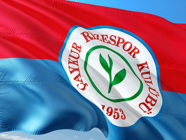 成为国际舞 成为国际舞