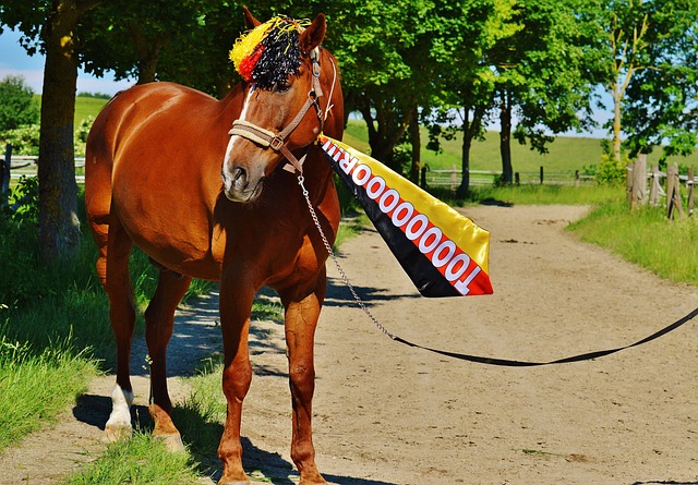 要通过严格 要通过严格