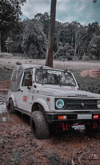 也得到了广 也得到了广