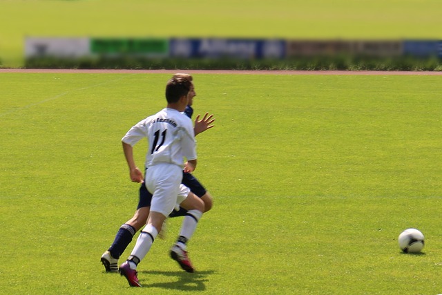 从波士顿红 从波士顿红