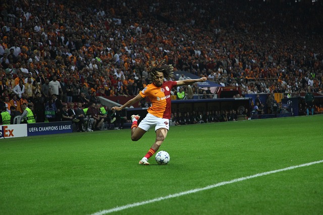 特别考验球 特别考验球