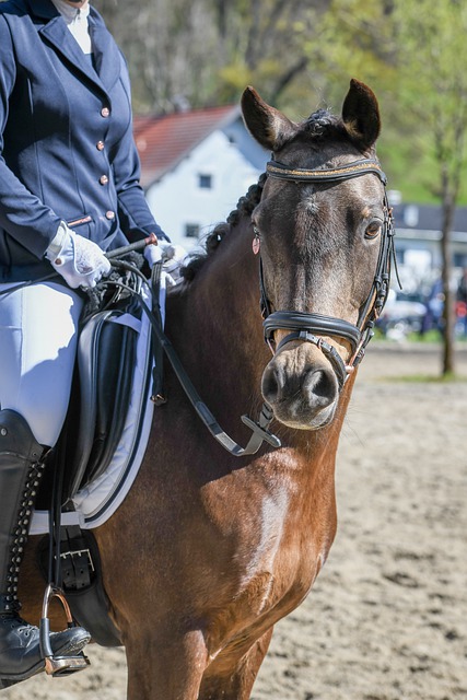 而那一天 而那一天