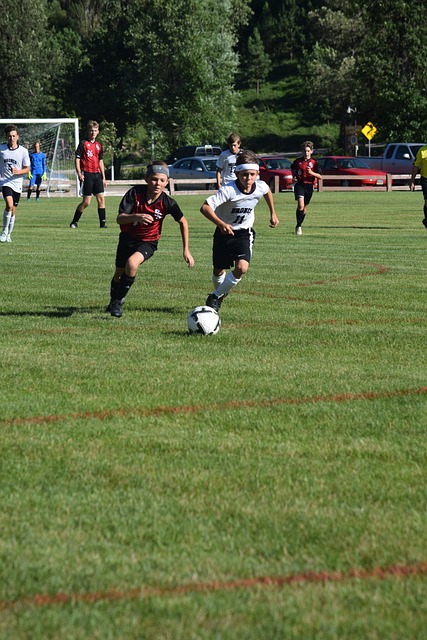 说实话我不 说实话我不